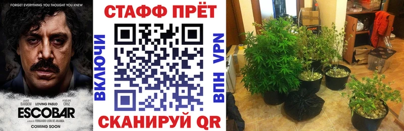 Купить закладку Заволжск Альфа ПВП ГАШ Кокаин