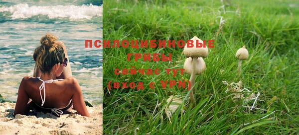 дурь Алексин