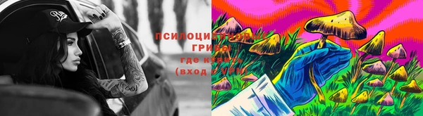 дурь Алексин
