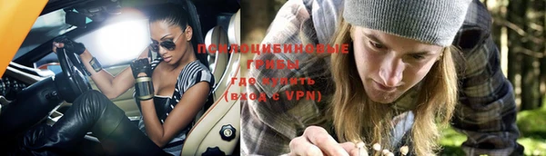 дурь Алексин