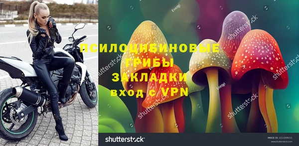 mdpv Снежинск