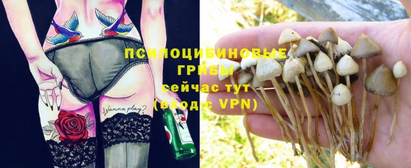 ешки Слюдянка