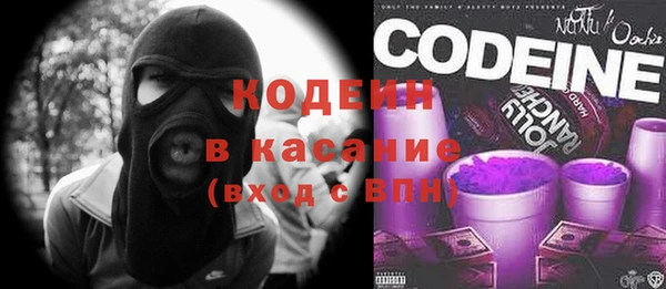 дурь Алексин